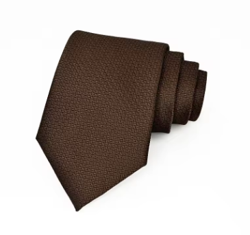 Dark Brown Blue Regular Tie