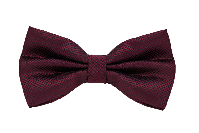 Dark Burgundy Textured Bow Tie