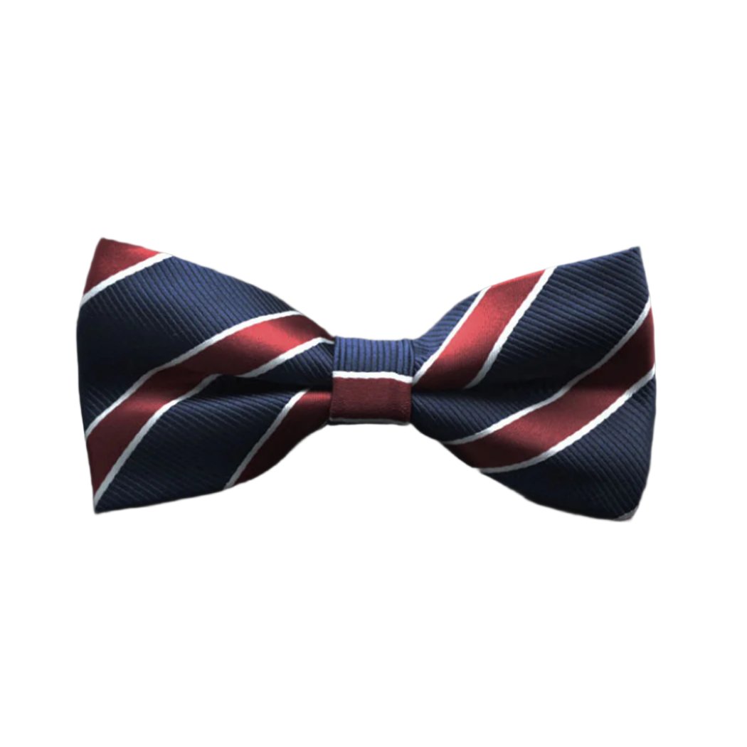 Double Stripe Navy Blue Bow Tie