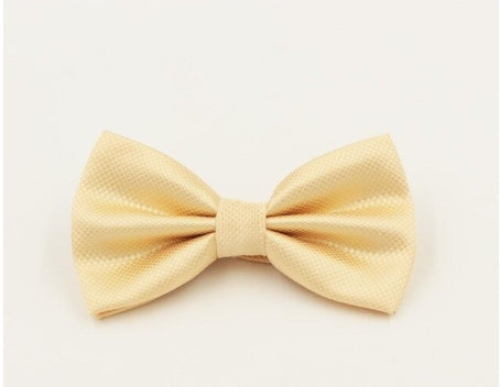 Light Champagne Textured Bow Tie