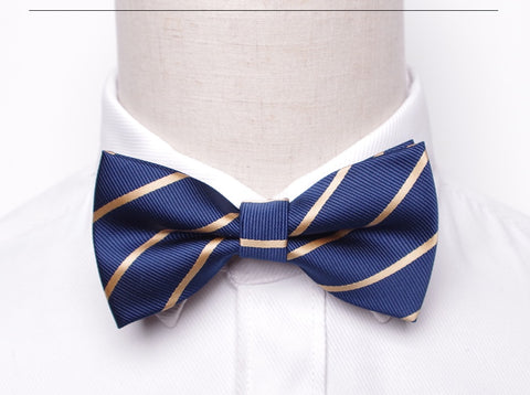 Champagne Stripe Dark Blue Bow Tie