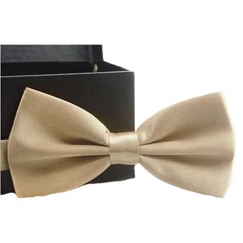 Champagne Large Bow Tie
