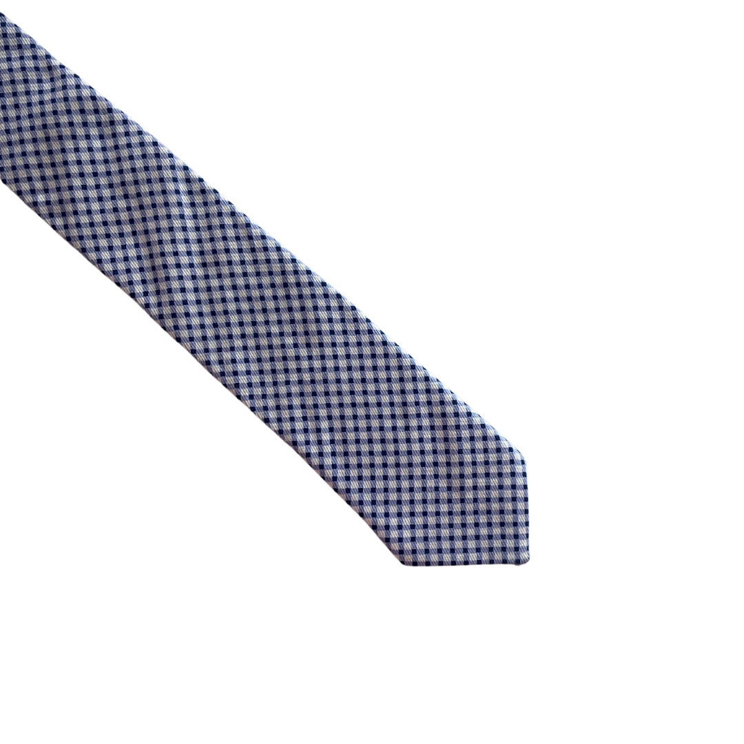 Shades of Blue & White Checkered Skinny Tie