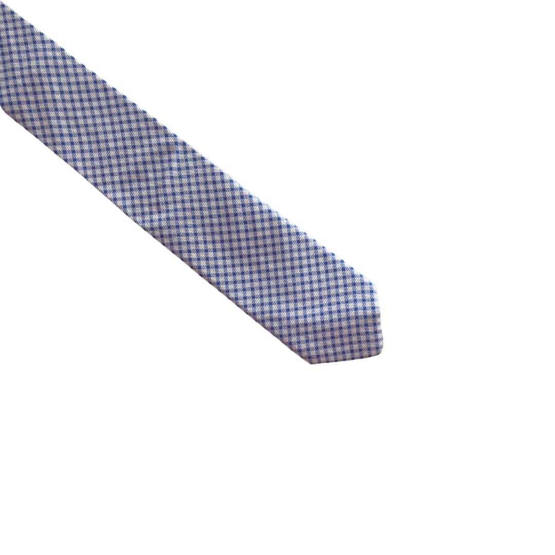 Shades of Blue & Light Purple White Checkered Skinny Tie