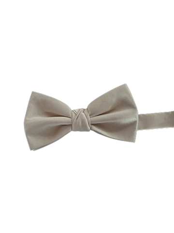 Champagne Bow Tie